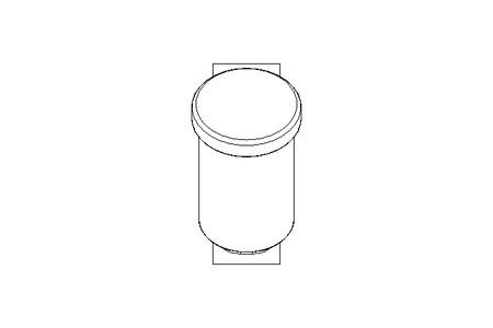 Strainer DN080 Schraegsitz 1.4404