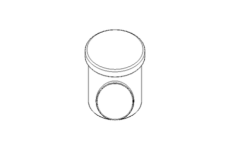 Strainer DN100 Schraegsitz 1.4404