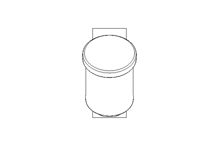 Strainer DN100 Schraegsitz 1.4404