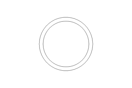 SEALING RING      210893