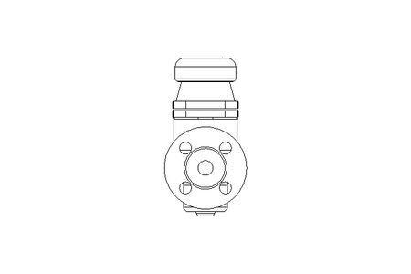 DETENDEUR  BRV2-S DN15 PN25