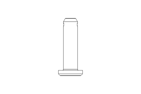 Pino/parafuso ISO 2341 B 8x30 A2