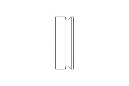 V-ring seal 25S 22x4 NBR