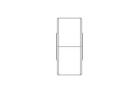 Rolo de apoio 17x47x21 PWTR 1747-2RS-RR