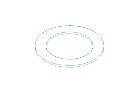 Shim washer 22x32x1 A2 DIN988