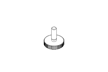 KNUR.SCREW M 4X 12  A2 DIN 653