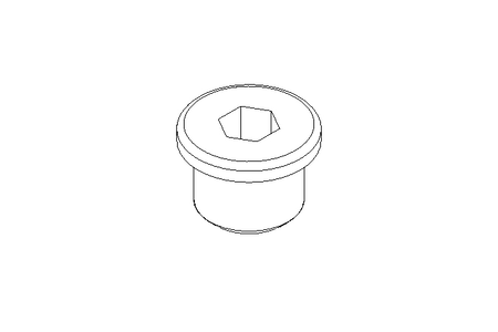 Verschlussschraube M16x1,5 A2 DIN 908