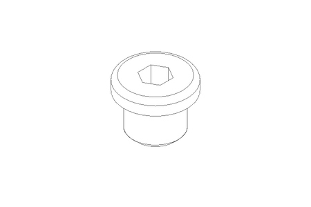 BOUCHON    M10X1    MS DIN 908