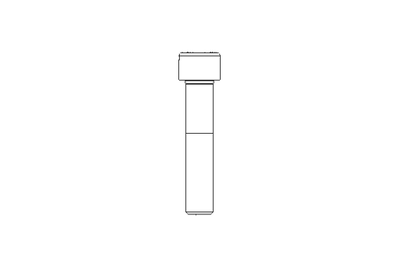 Vite a testa cilindrica M12x60 8,8