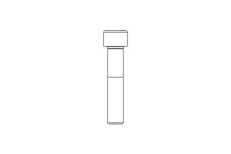 Vite a testa cilindrica M12x60 8,8