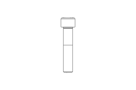 Vite a testa cilindrica M12x60 8,8