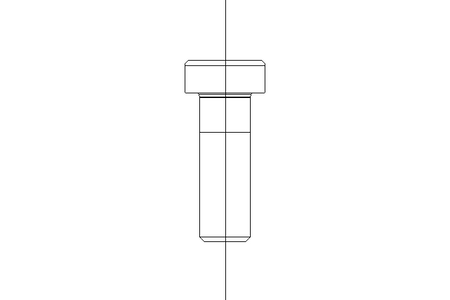 Zyl-Schraube M10x30 A2 70 DIN6912