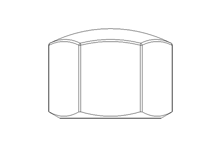 Ecrou borgne hexagonal M16 A2 DIN917