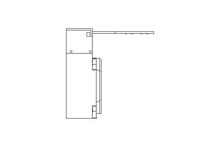 Positionsschalter 240V 3A 1 S