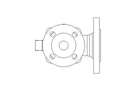 Sicherheitsventil DN25