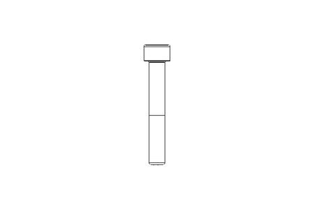 Tornillo de cab.cilínd. M6x40 10,9