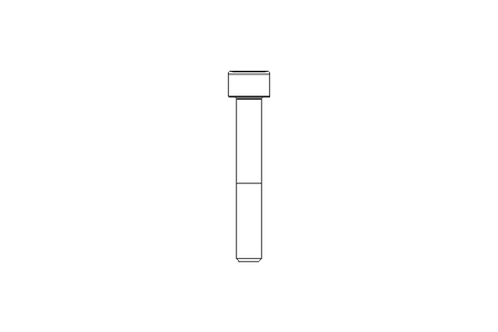 Vis cyl. M6x40 10.9 DIN912-flZn/TL/720h