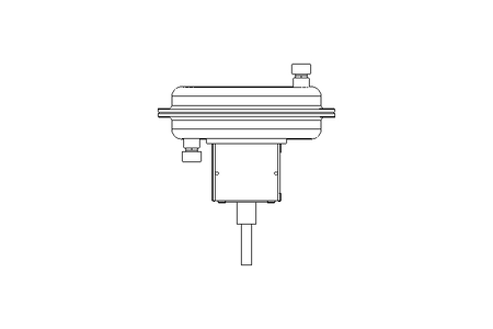 PNEUMATIC ACTUATOR