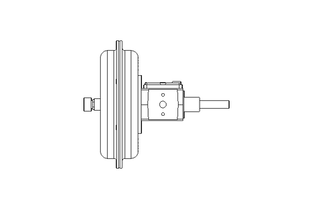 PNEUMATIC ACTUATOR