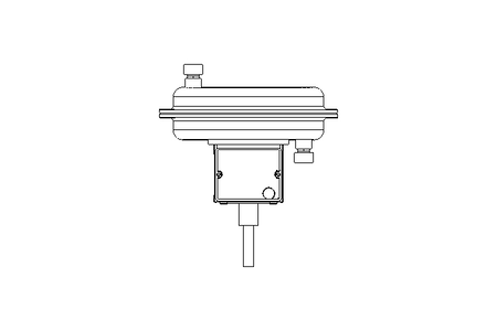 PNEUMATIC ACTUATOR