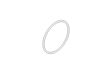 O-RING (REPT.0162203976)