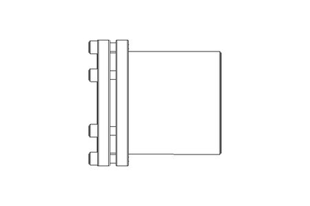 Buchse D100 d80 8800Nm