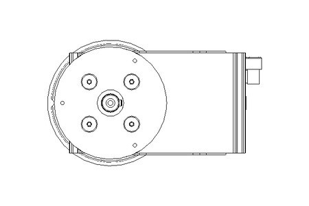 Worm Gear