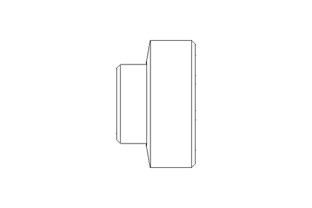 Raccord fileté SC DN15 1.4404 DIN11851