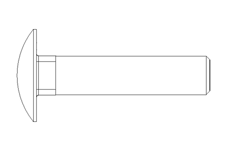 Vis à tête bombée M10x45 A2 DIN603