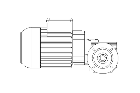 螺杆齿轮速电机 0,55kW 104 1/min