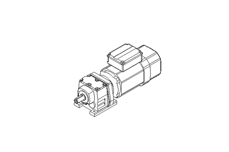 正齿轮变速电机 0,55kW 48 1/min