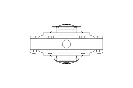 Scheibenventil B DN100 WVW NC E EX