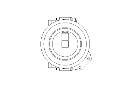 FLAP VALVE