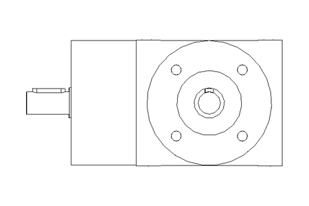 BEVEL GEARED MOTOR