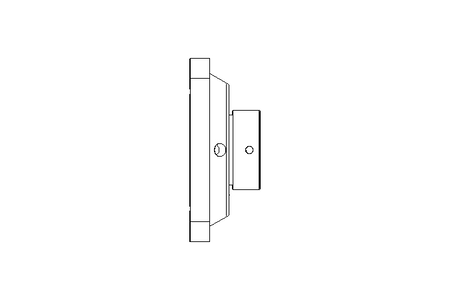 Flange bearing four fixing holes