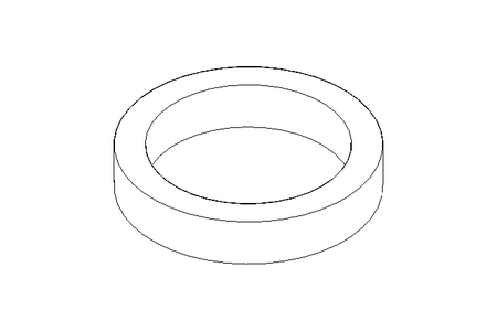 FEED JOINT GASKET 026X005 PTFE
