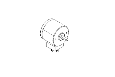 ROTARY MAGNET