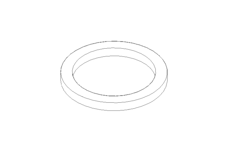 Sealing ring 17.1x21.8x2 PVC-P