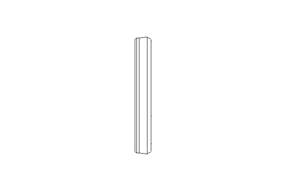 Sealing ring PVM 19.5x24x3.6 PTFE