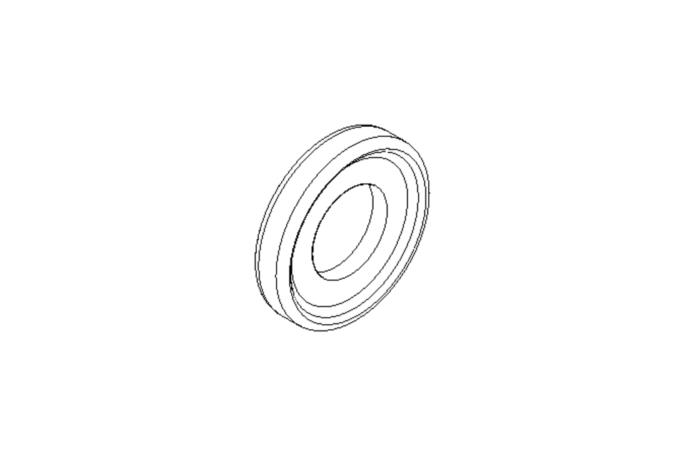 SEALING RING DN 1/2