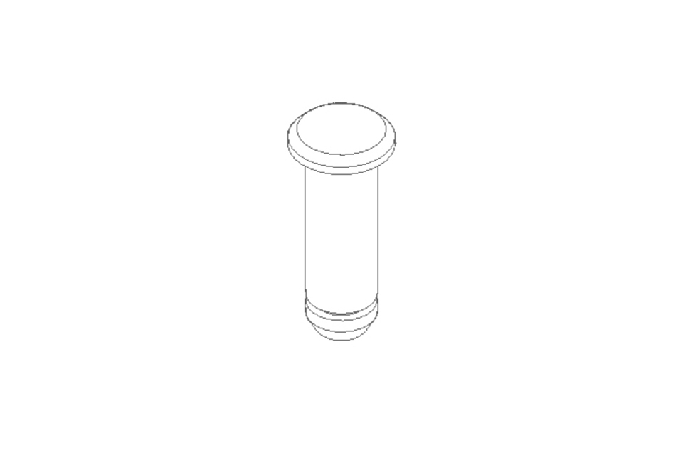 Bolt ISO2341 8x25 A2