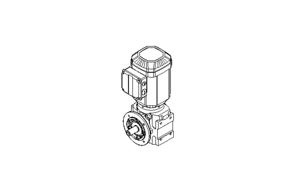 Worm gear motor 0.55kW 72 1/min