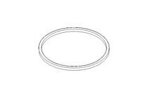 Sealing ring G DN150 NBR DIN11851