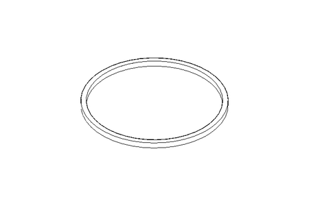 Sealing ring G DN150 NBR DIN11851