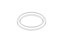 Sealing ring G DN40 NBR DIN11851