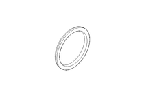 Sealing ring G DN50 NBR DIN11851
