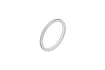 Sealing ring G DN100 NBR DIN11851