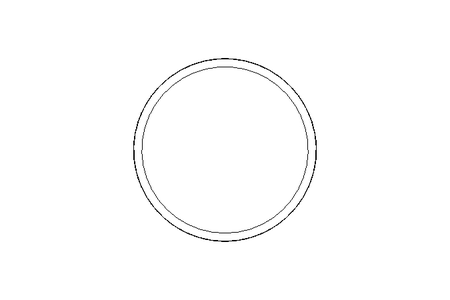 Sealing ring G DN100 NBR DIN11851