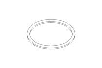 Sealing ring G DN80 FPM DIN11851