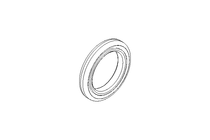 GLYD sealing ring RG 12x17.7x2.85